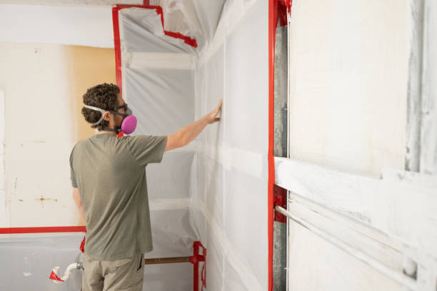 Best Comprehensive Air Testing for Mold Contaminants  in Ozona, TX