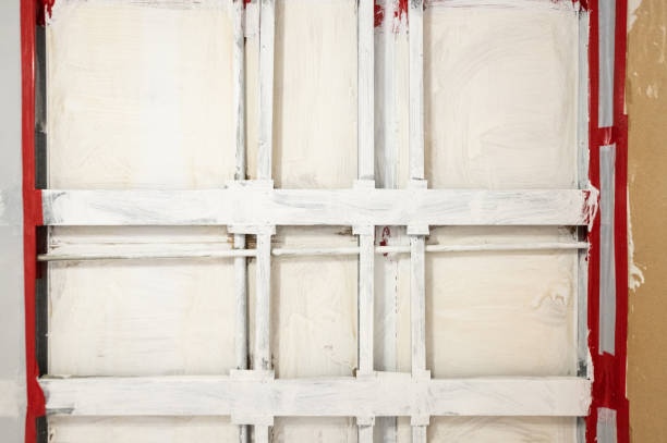 Best Residential Mold Inspection & Testing  in Ozona, TX