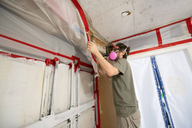 Best Indoor Air Quality Assessment  in Ozona, TX