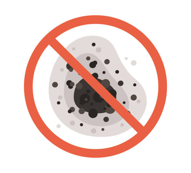 Best Mold-Related Health Consultation  in Ozona, TX