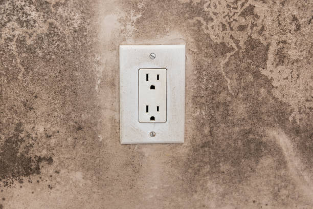 Best Mold Odor Removal Services  in Ozona, TX